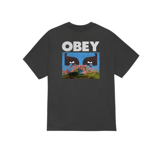 TSHIRT OBEY IN A DIFFERENT PLACE VINTAGE BLACK